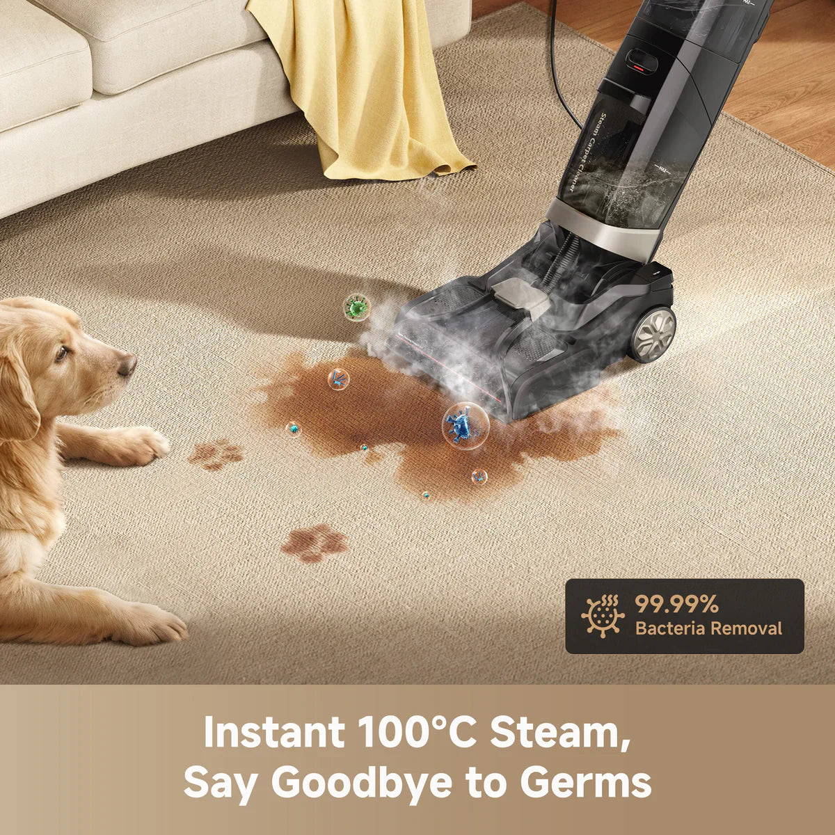Dreame CU20 Pro Steam Carpet Cleaner | HCU11A