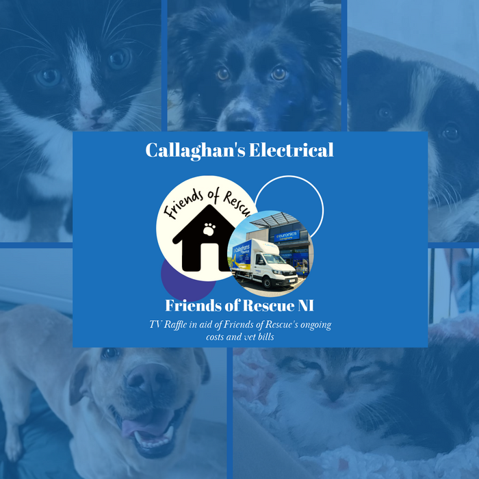 Support Friends of Rescue Northern Ireland by Entering Callaghan’s Electrical Charity Giveaway!