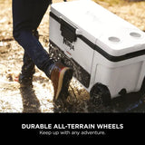 Ninja FrostVault 65QT/61L Wheeled Cooler with Dry Zone - Slate Grey | FB265EUUKGY