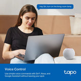 Tapo Mini Smart Wi-Fi Plug, Energy Monitoring | TAPOP110M