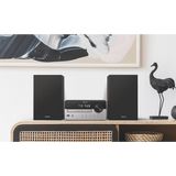 Philips Micro Music System with Bluetooth TAM4205/12